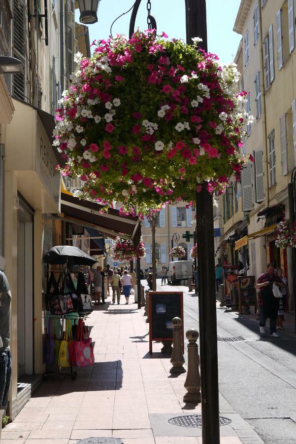 Vieille Ville 1 - Luca'S Apartment, 1 Bedroom, Max 2 Adults And 2 Kids Αντίμπ Εξωτερικό φωτογραφία